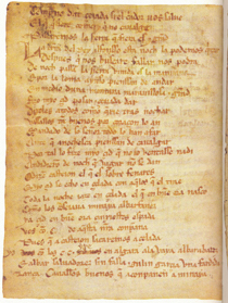 Folio9 del Cantar de mío Cid