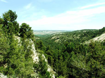 Paraje en el que se ubica la afrenta de Corpes, en Castillejo de Robledo, Soria.