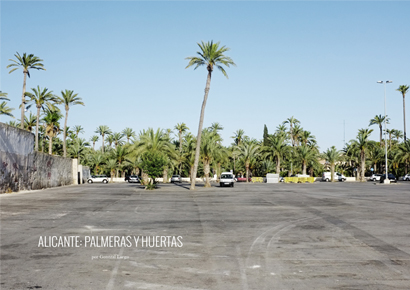 Alicante: Palmeras y Huertas